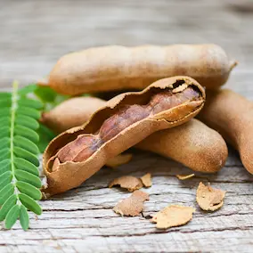 NeuroPrime ingredient Tamarind antioxidant support